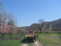 Agricoltura Biologica L'Ostal 