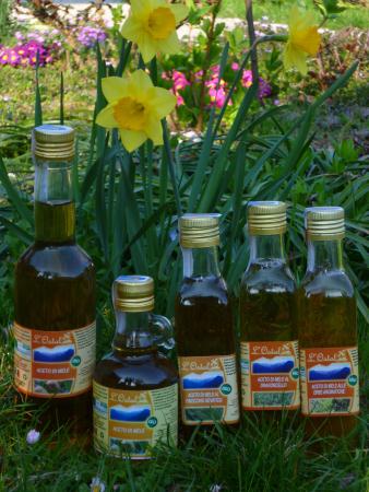  Vinaigre de cidre - Agricoltura Biologica L'Ostal 